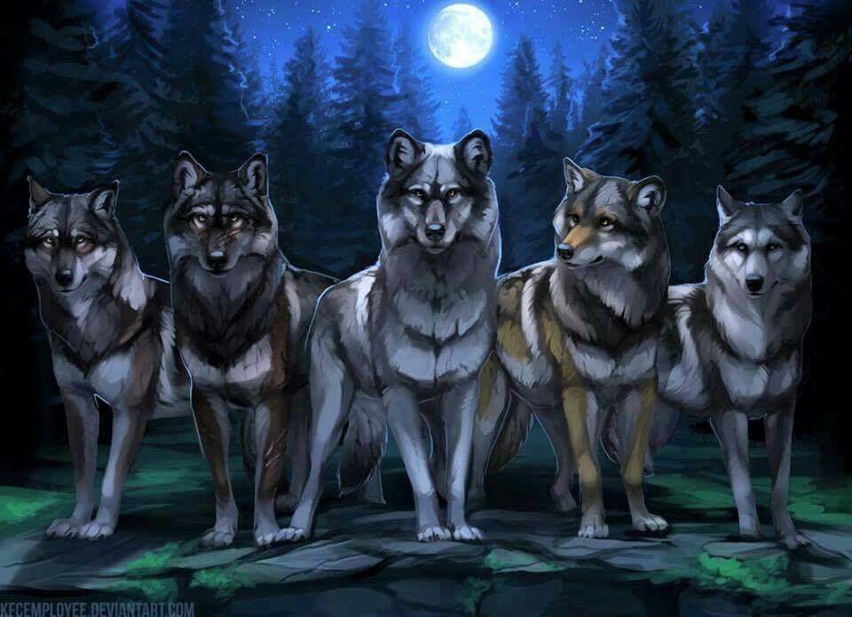 Featured image of post Anime Wolf Pack Art