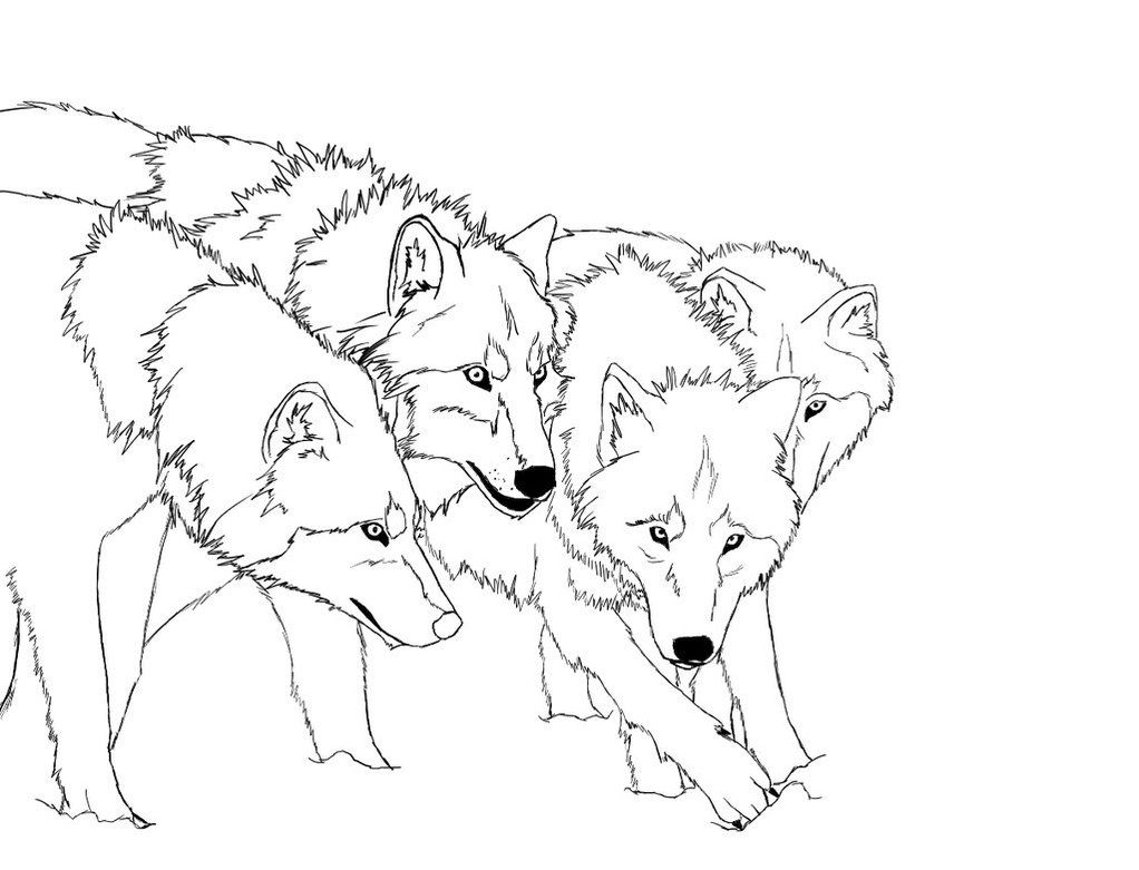 Featured image of post Anime Wolf Wolf Pack Coloring Pages