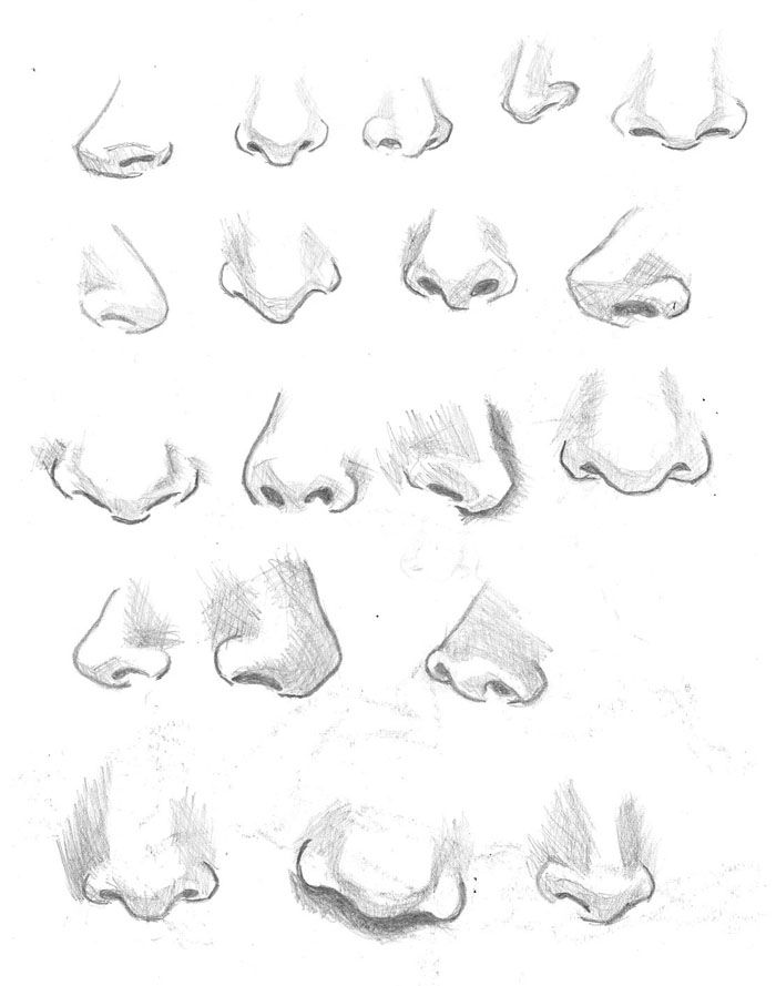 Featured image of post Female Nose Drawing