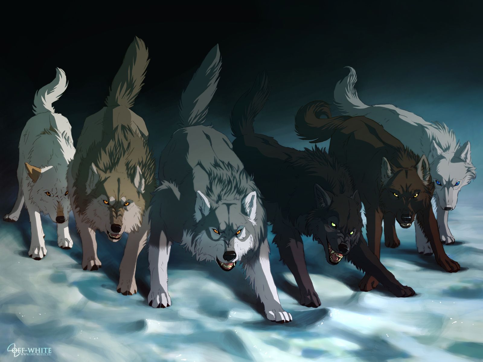 Featured image of post Fighting Wolf Pack Anime