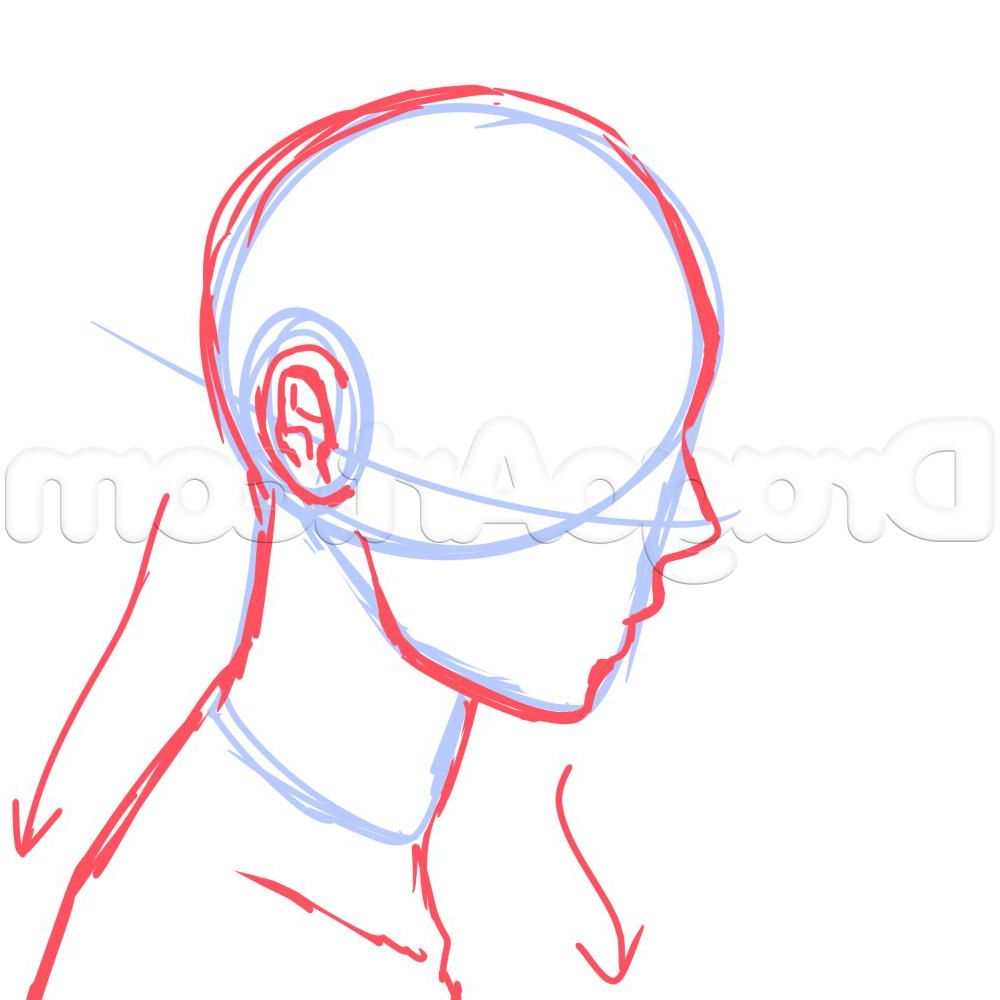 Featured image of post How To Draw Anime Side Profile Male