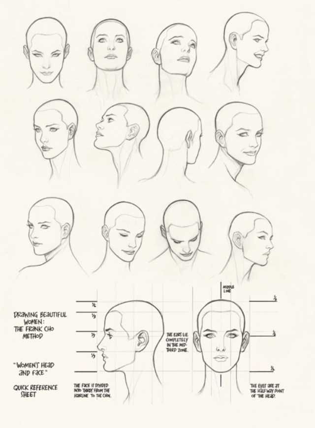 Featured image of post Human Face Drawing Reference Female