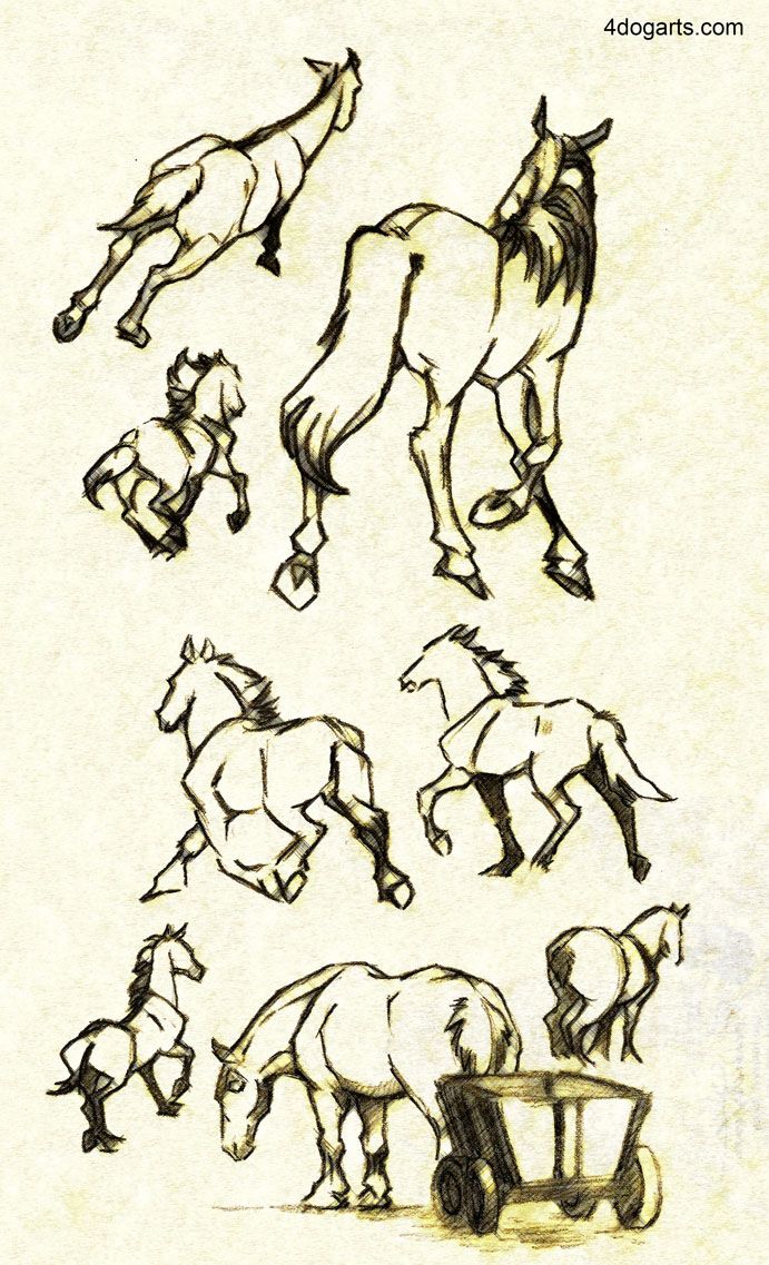 Featured image of post Poses Horse Running Drawing