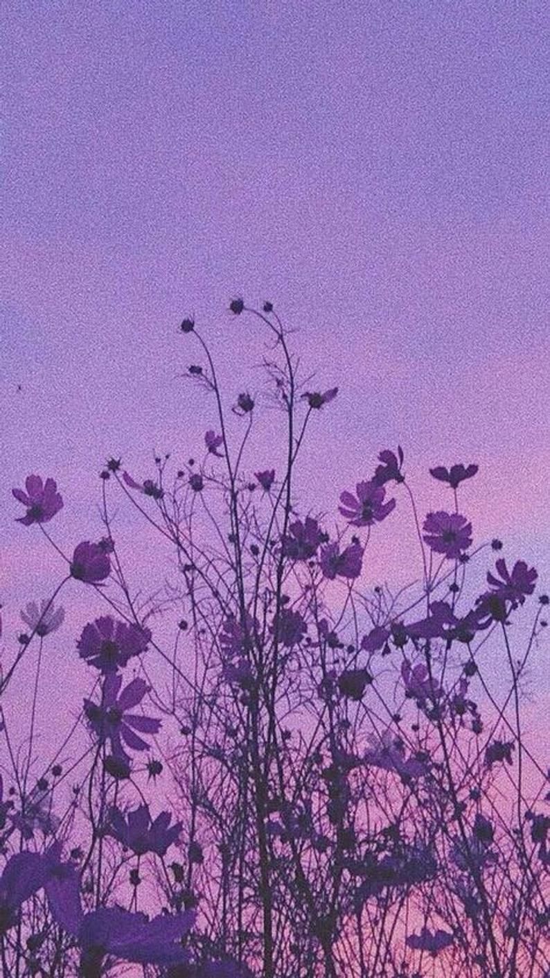 Featured image of post Purple Aesthetic Wallpaper L